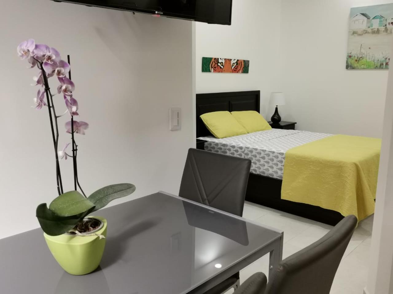 935 Lodge San Jose エクステリア 写真